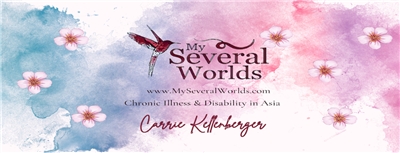 Myseveralworlds.com banner. (Photo: Carrie Kellenberger)