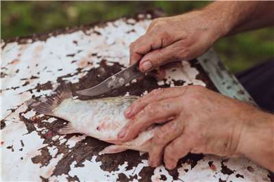 Discarded fish skin and scales could find new life as MarinaTex, a biodegradable alternative to conventional plastic. (Photo: Vladimir Srajber/Pexels)