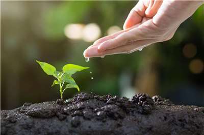 What might happen when we give ourselves the time and space to grow? (Photo: Pixabay)