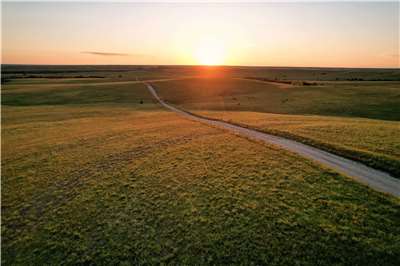 A Kansas business has transformed its back lot into a half-acre park, replanting native tallgrass prairie. (Illustrative photo: Taylor Hunt/Pexels)