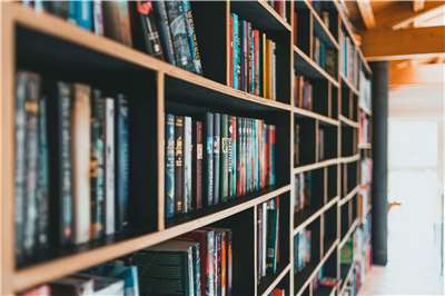 An Indian public school turns students into published authors as a community reading culture takes hold. (Photo: Erik Mclean/Pexels)