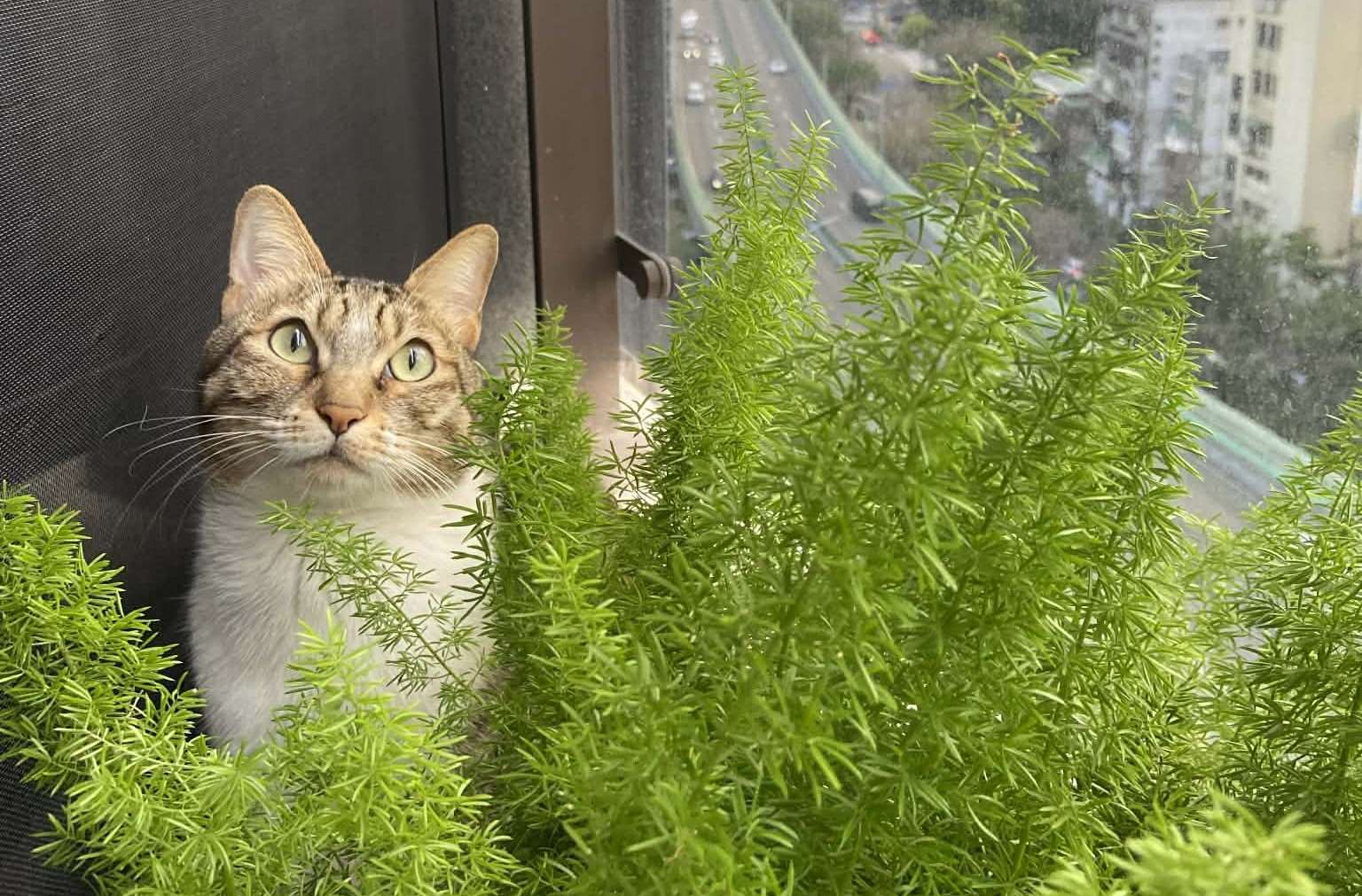 Coconut enjoying the weather outside! (Photo: Michelle Chiang)