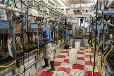 Michael Dykes says Taiwan’s complete exemption of tariffs on dairy products, such as liquid milk, creates significant opportunities for U.S. dairy farmers. (Photo: Mark Stebnicki on Pexels)