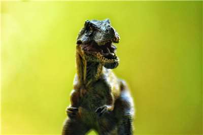 (Photo: Eric Jose on Pexels)