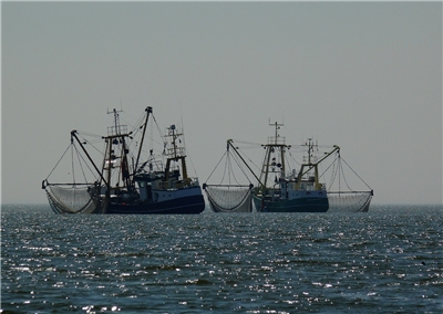 Taiwan is the world's second-largest producer of distant-water fishing vessels. (Photo: Pixabay)