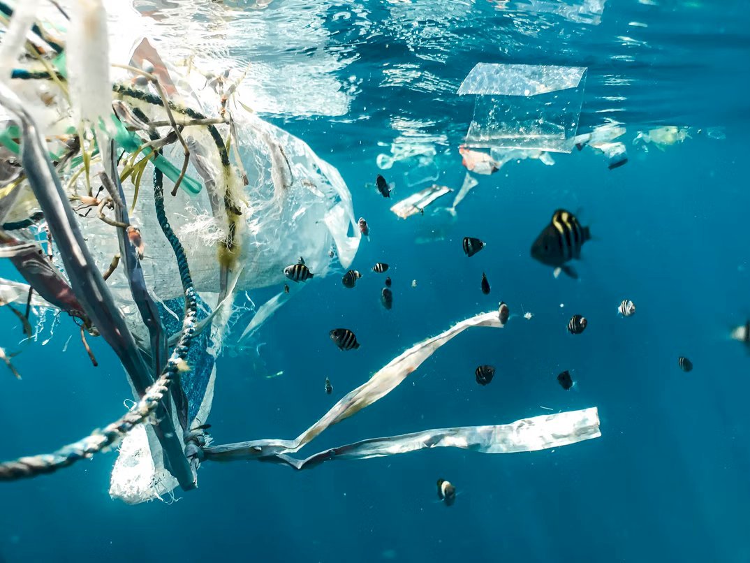 Cho underscored that an important task of the OAC is conservation, saying that the Cabinet recently proposed establishing a national-level microplastic monitoring and defense line. (Naja Bertolt Jensen/Unsplash)