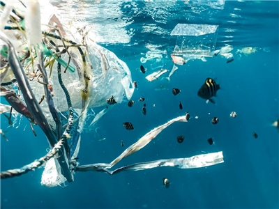 Cho underscored that an important task of the OAC is conservation, saying that the Cabinet recently proposed establishing a national-level microplastic monitoring and defense line. (Naja Bertolt Jensen/Unsplash)