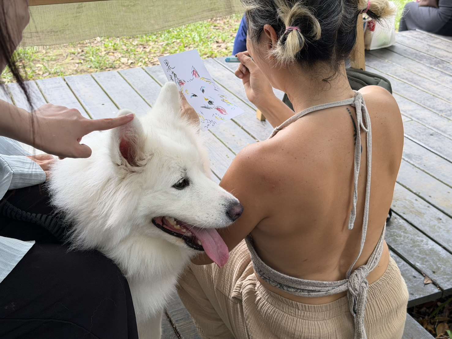 "Go Picnic" pet event on July 19, on Yangmingshan, Taipei. (Photo: Eloise Phillips)