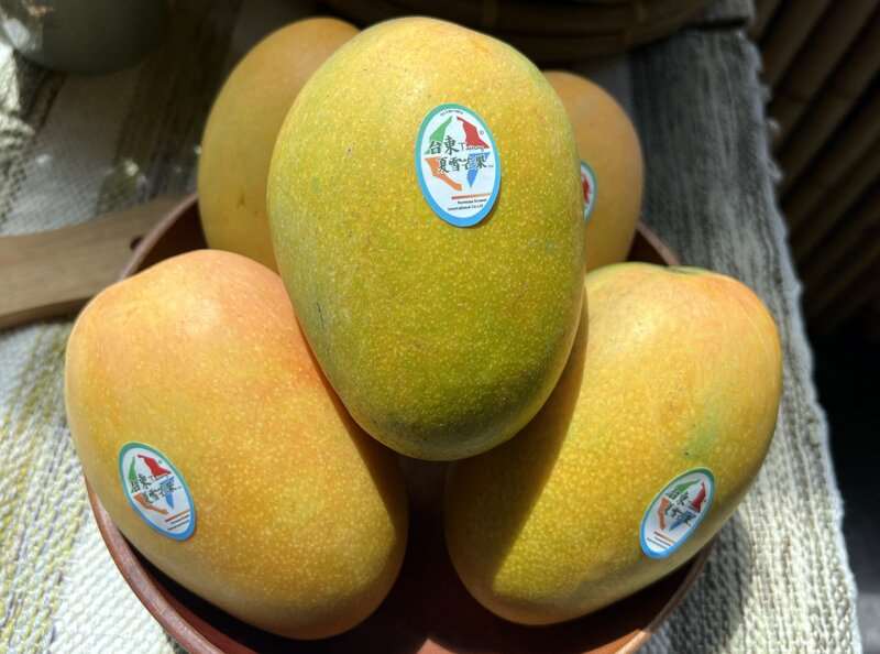 The Summer Snow Mangoes in Taitung. (Photo: CNA)