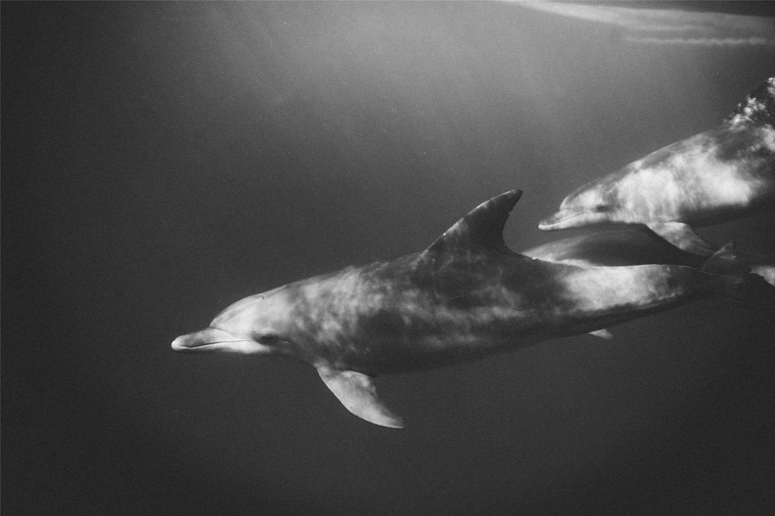 (Photo: Pexels/Taryn Elliott)