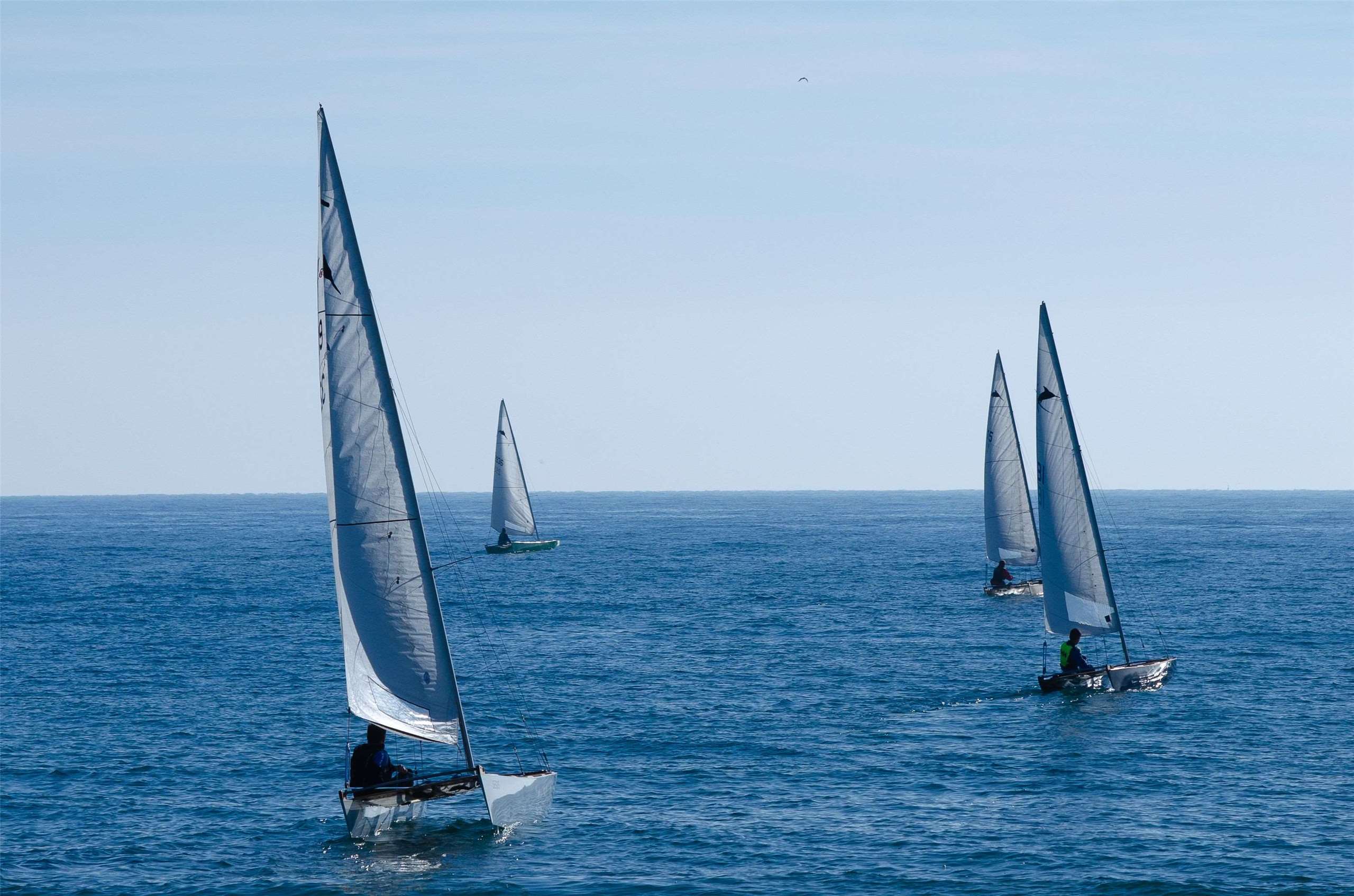 A group of sailboats on the ocean. (Illustrative photo: Elias Gulias/Pexels)
