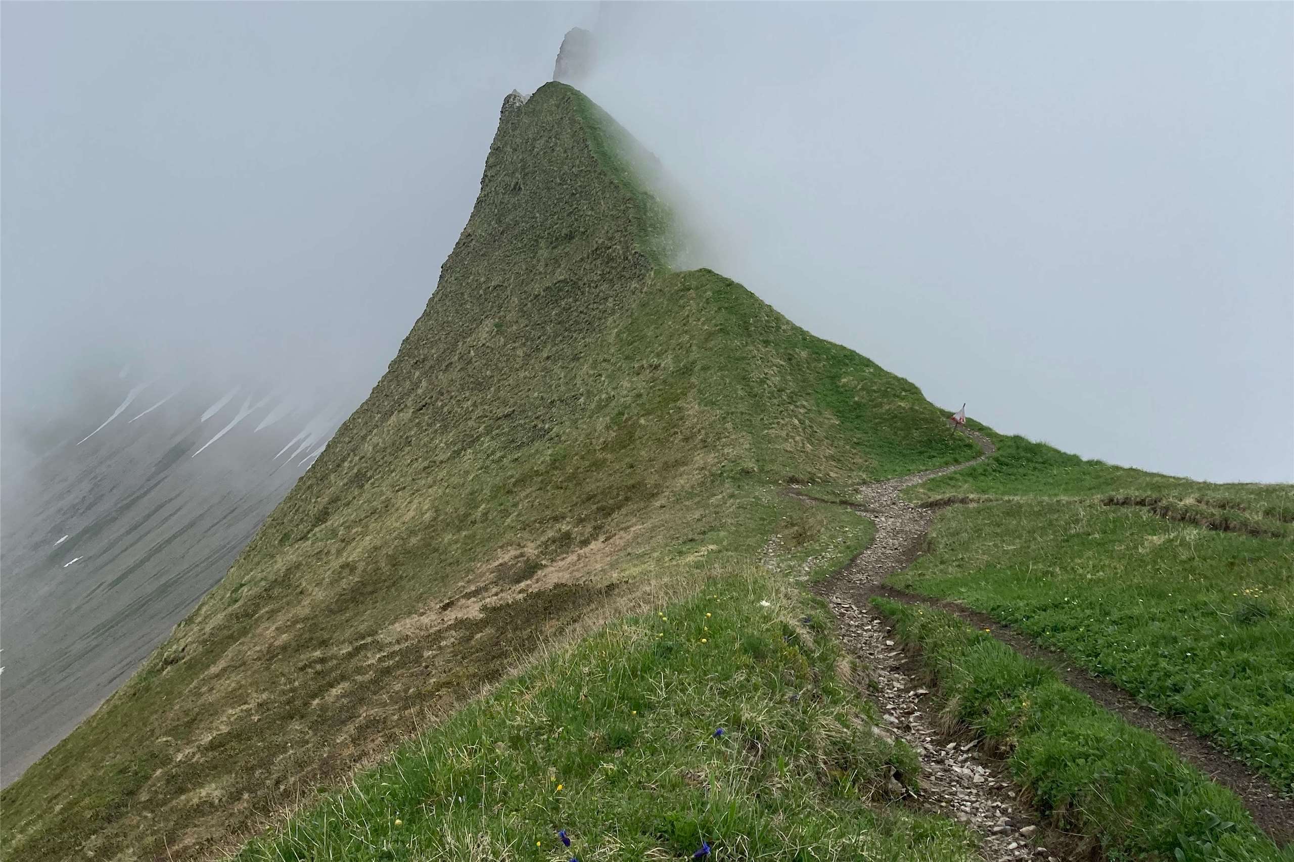 The first of a three -part interview with Natalie. In her own words the first image is a foggy trail from one of her hikes. It represents the beginning of her journey, when she was unsure where the path would lead or what healing and recovery would look like. She couldn’t see far ahead, but she kept walking. (Photo: provided by Natalie)