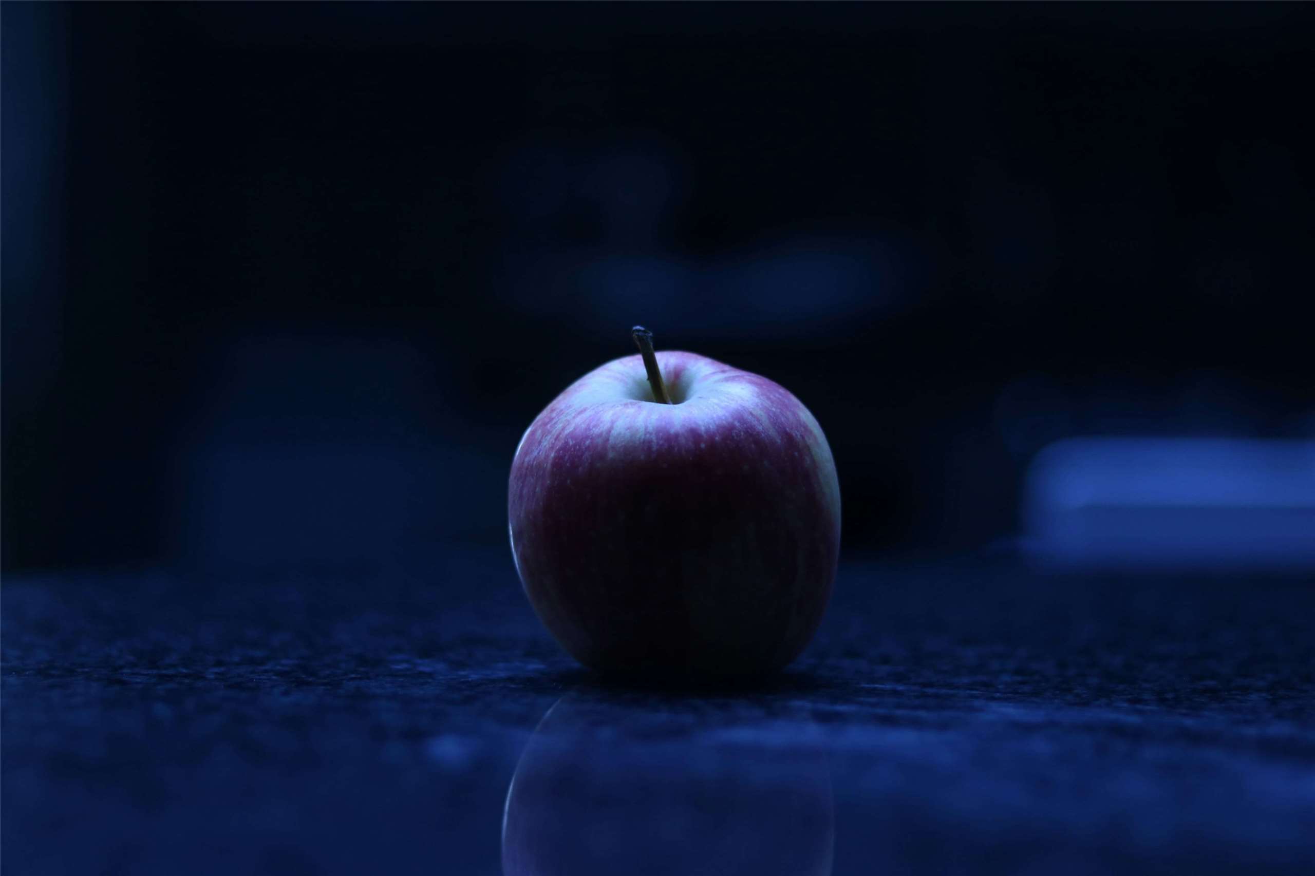 The original betrayal? (Photo: Alicia Christin Gerald via Unsplash)