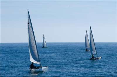 A group of sailboats on the ocean. (Illustrative photo: Elias Gulias/Pexels)