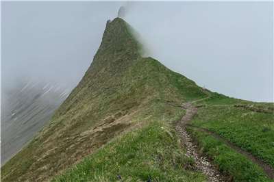 The first of a three -part interview with Natalie. In her own words the first image is a foggy trail from one of her hikes. It represents the beginning of her journey, when she was unsure where the path would lead or what healing and recovery would look like. She couldn’t see far ahead, but she kept walking. (Photo: provided by Natalie)