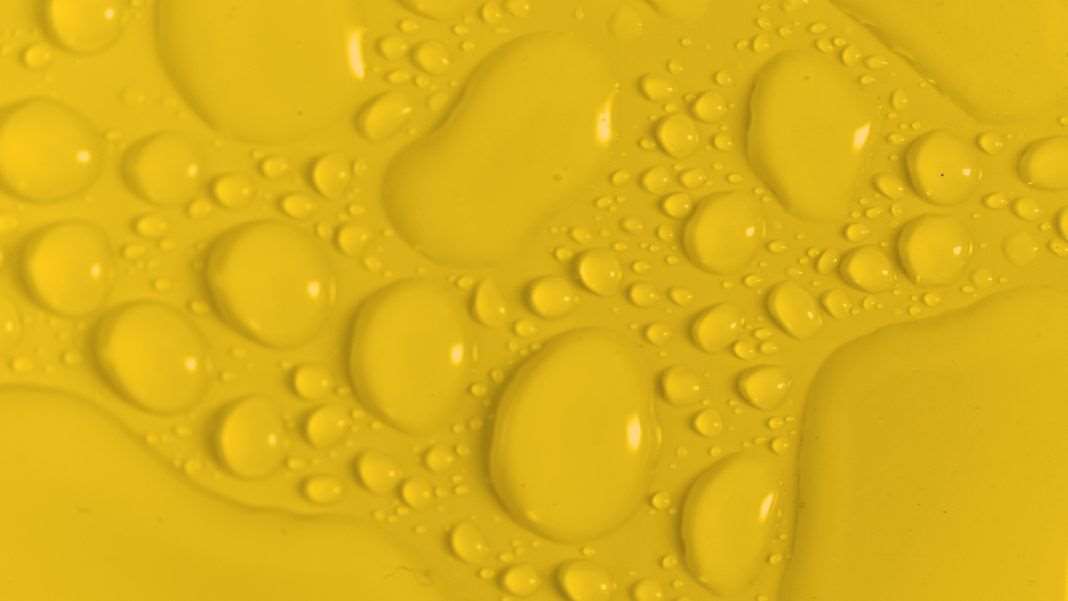 Maggie Su's "Blob: A Love Story" is neither fully a monster book nor a love story, but walks an in-between space where it calls out the ways we often try to control the world around us. (Photo via Canva)