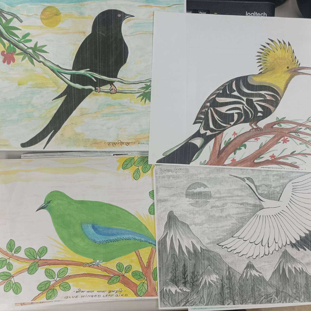 Drawings from one of our listeners. (Photo: Rti)