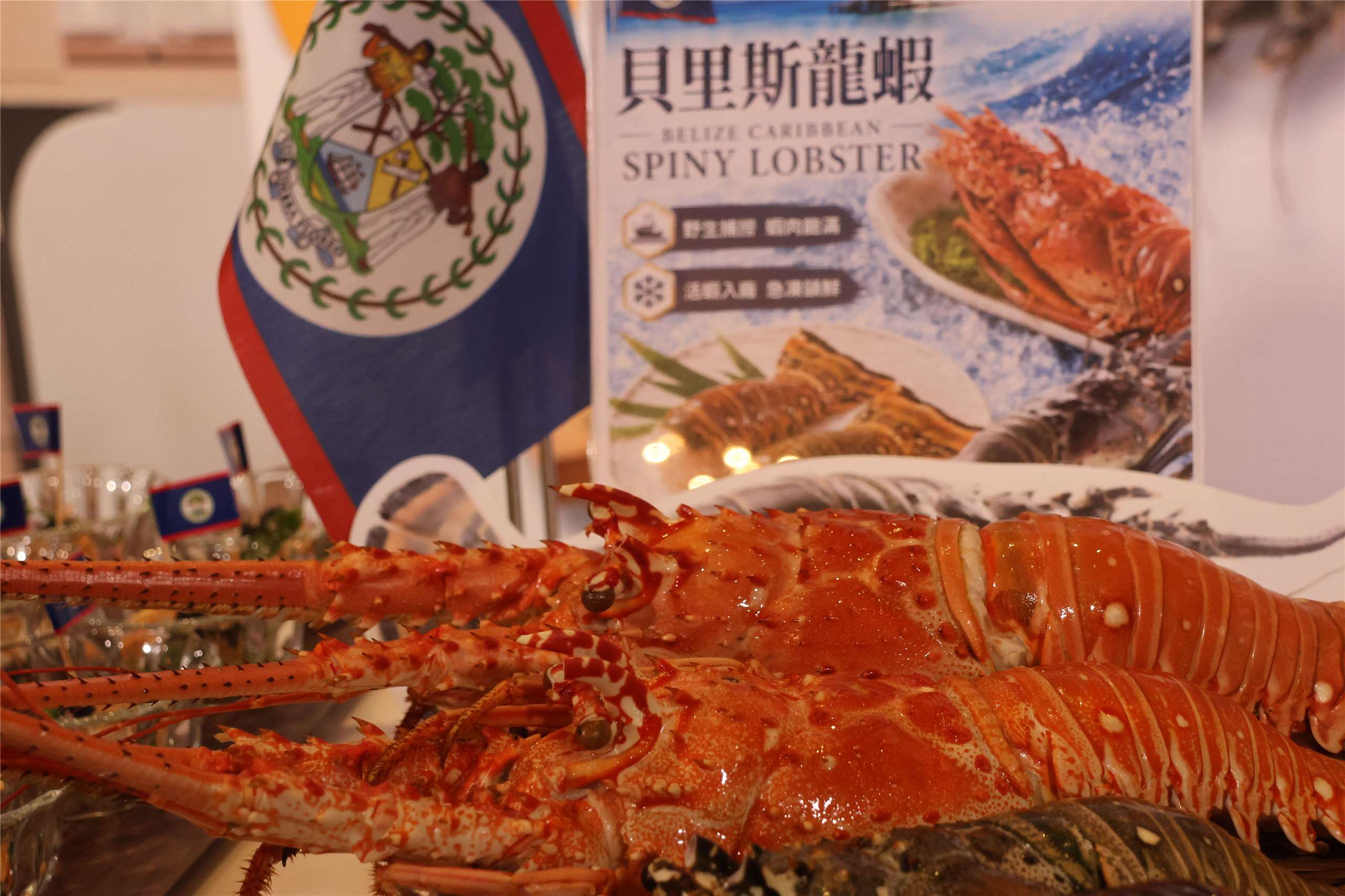 Belizean lobsters are displayed at the launch of the “Tasty Alliance” campaign in Taipei on August 10, 2026. (Rti Photo/James Thompson)