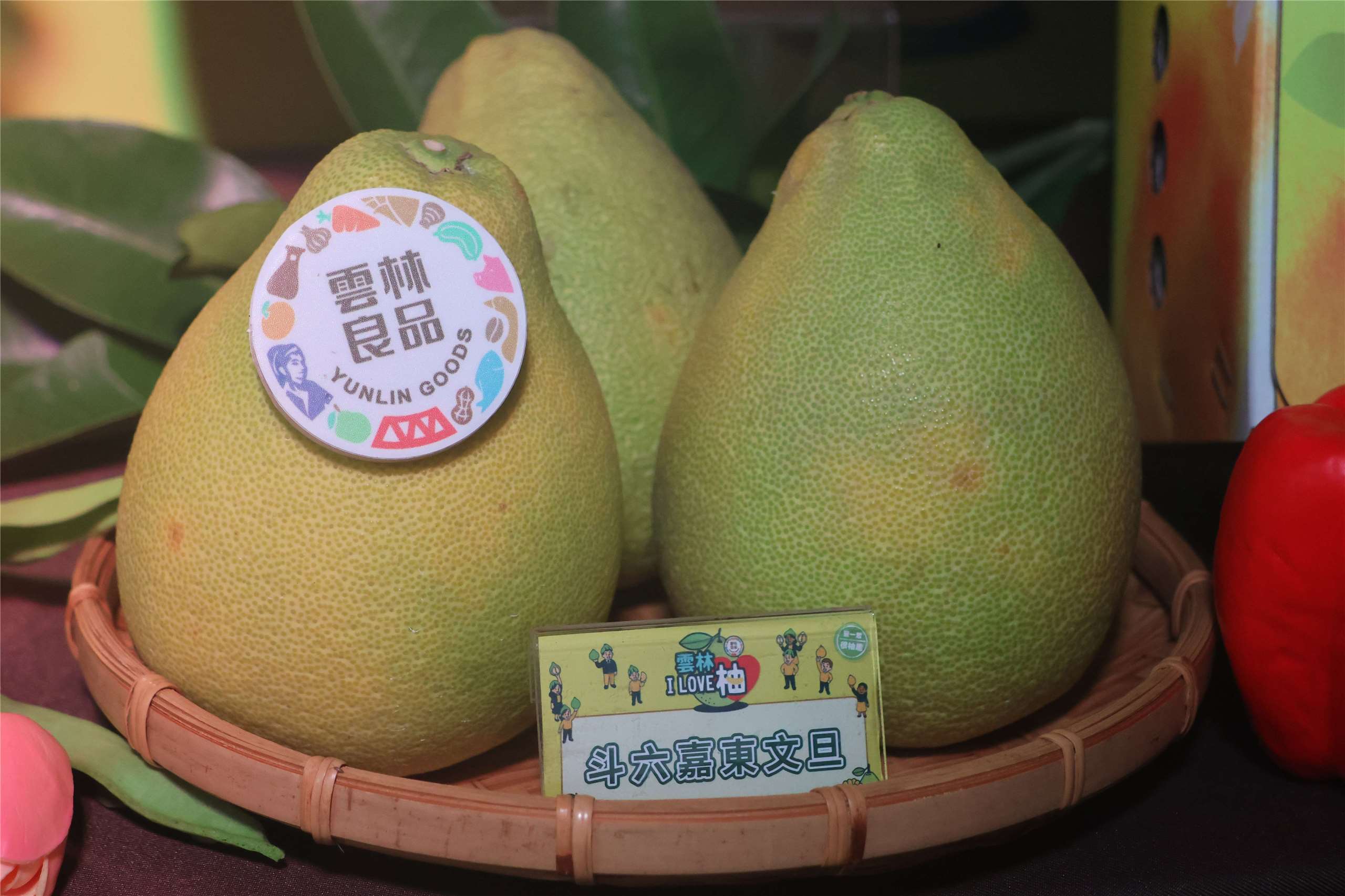 Pomelos from Yunlin County are displayed at a promotional event in Taipei on September 4, 2026. (Rti Photo/James Thompson)