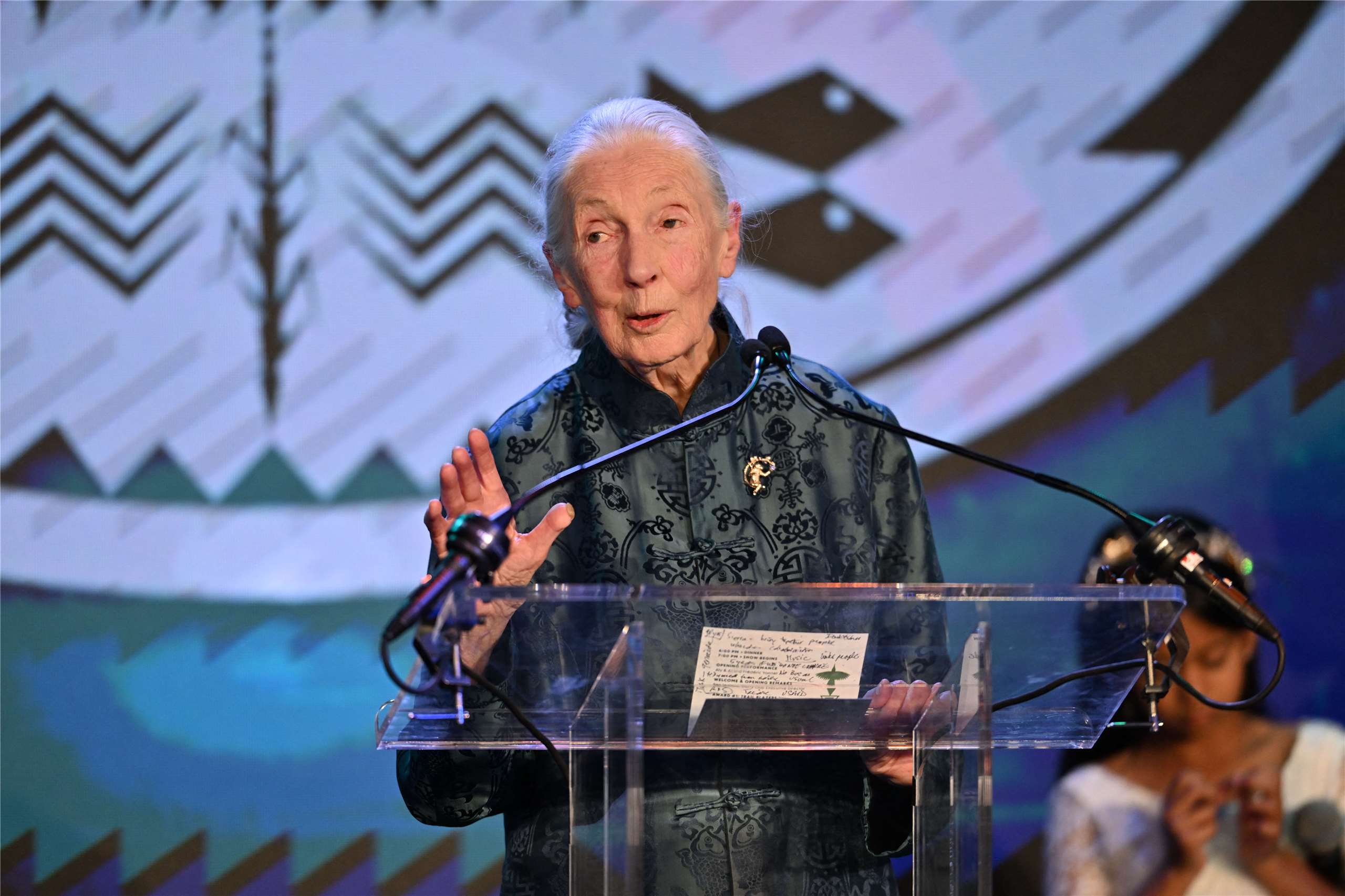 Jane Goodall, la famosa primatóloga, falleció a los 91 años (Foto: AFP)