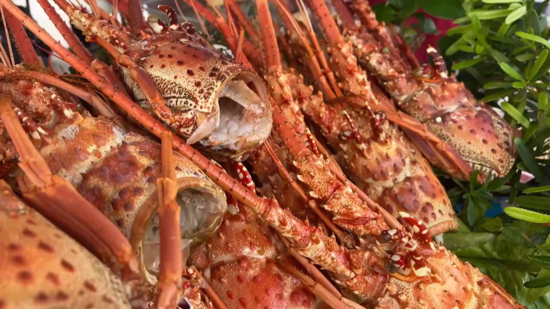 Mariscos tras la maratón de Penghu (Foto: captura de vídeo)
