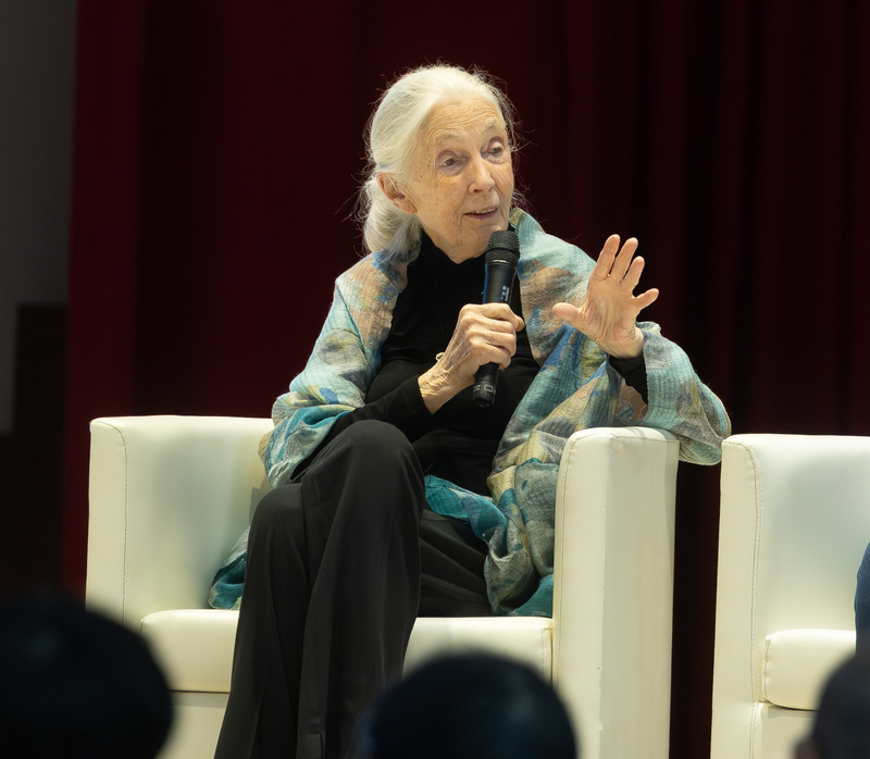 Jane Goodall en Taiwán episode artwork