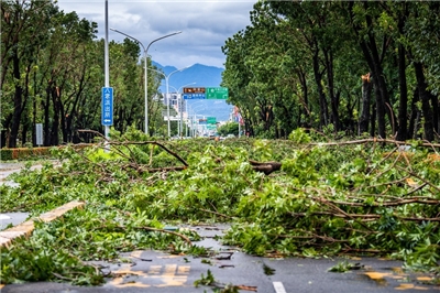 El tifón Danas tocó tierra en Chiayi en la noche del día 6, y tras más de una hora de fuertes ráfagas de viento, el centro urbano quedó visiblemente dañado: las calles quedaron cubiertas de ramas y escombros. (Foto: Ayuntamiento de Chiayi)