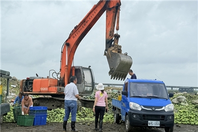 Se estudia asistencia integral a productores agrícolas de Yunlin . (Foto: Agricultura de Tainan)
