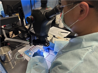 El Instituto Nacional de Investigación de Taiwán (NARLabs) presentó hoy la plataforma de empaquetado avanzado CoCoB, una tecnología considerada clave para el desarrollo de la inteligencia artificial (IA) (Foto: Rti)