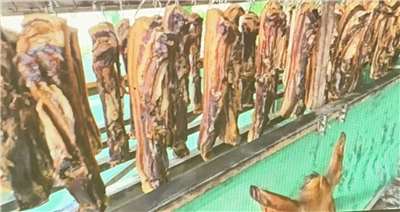 Las carnes que se venden es esta época del año. (Foto: CTS)