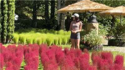 Parque Shanlinxi de Nantou (Foto: captura de vídeo)