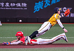 Los Dragones Wei Chuan y los CTBC Brothers disputan la serie de Taiwán al mejor de siete partidos por el título de la temporada 2026 de la Liga Profesional de Béisbol de Taiwán. (Foto: CNA)
