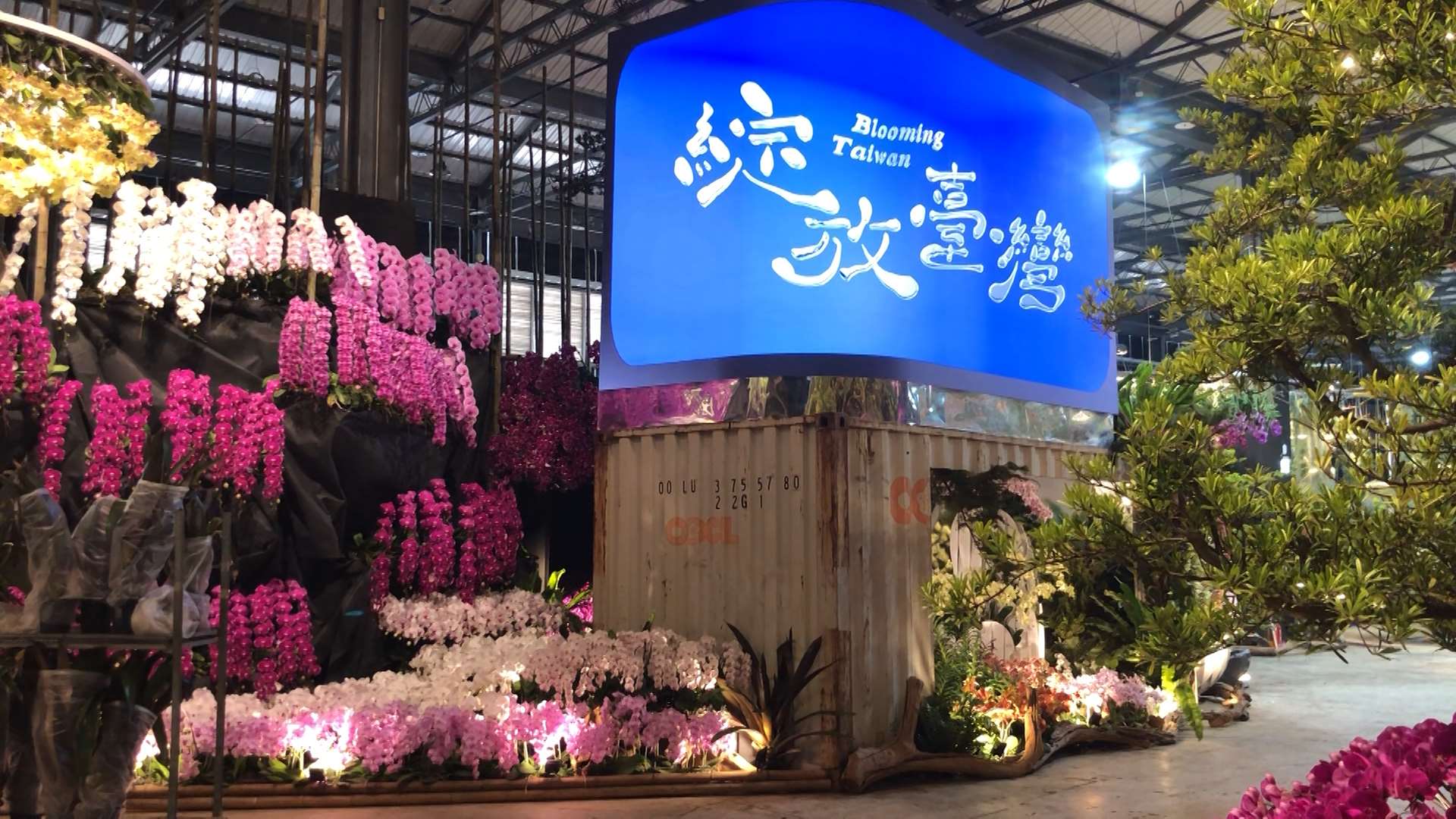 Arte en la Exposición Internacional de Orquídeas y Tecnología Floral de Taiwán 2026 (Foto: captura de vídeo)