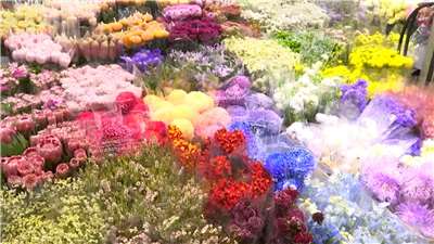 Flores para el Año Nuevo chino en el Mercado de Flores de Taipéi (Foto: captura de vídeo)