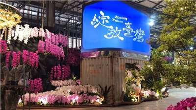 Arte en la Exposición Internacional de Orquídeas y Tecnología Floral de Taiwán 2026 (Foto: captura de vídeo)