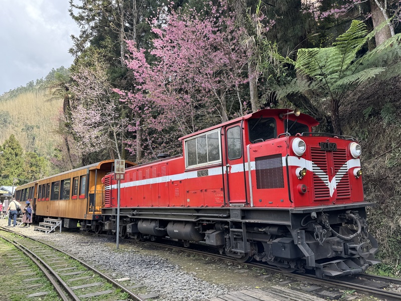 El tren turístico Fusen (福森) cubre la histórica ruta Chiayi-Alishan. (Foto: CNA)