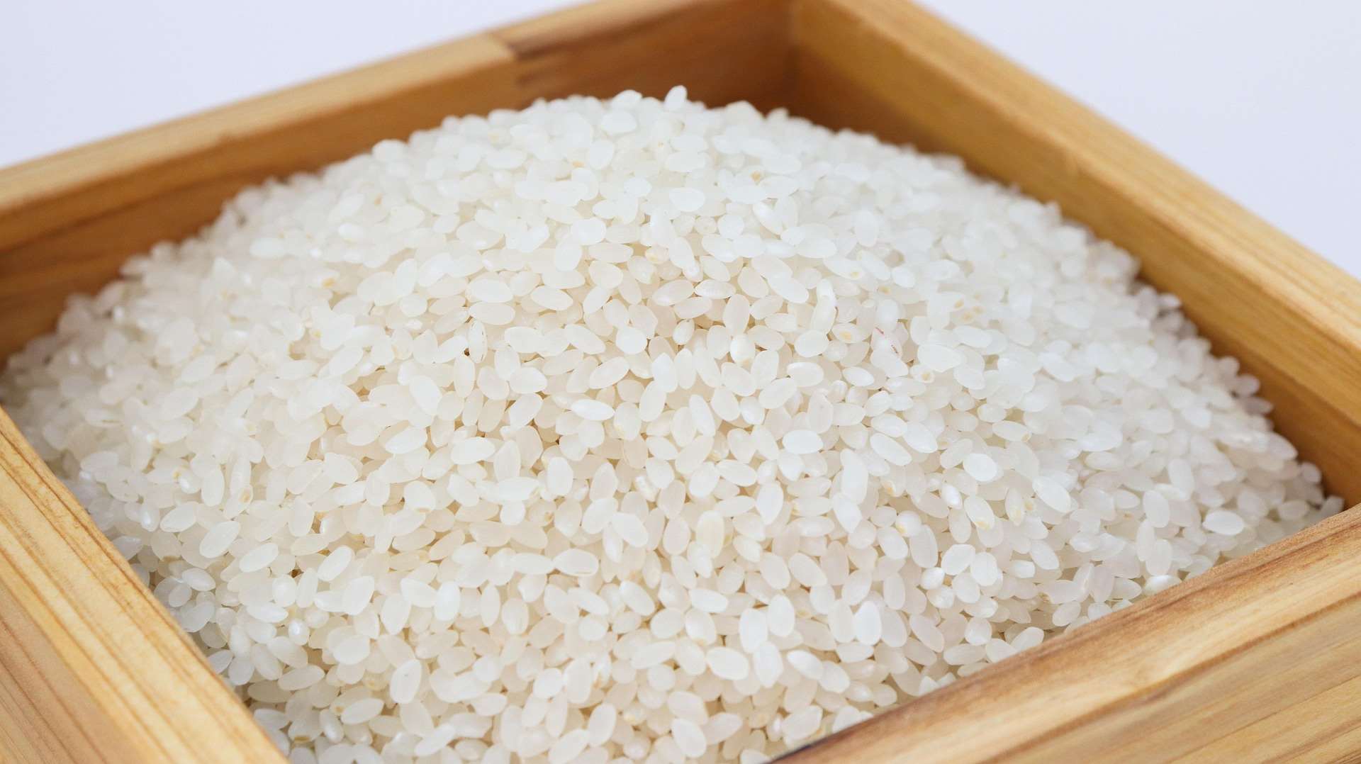 El arroz Ponglai cumple 100 años en Taiwán. (Foto: Pixabay)