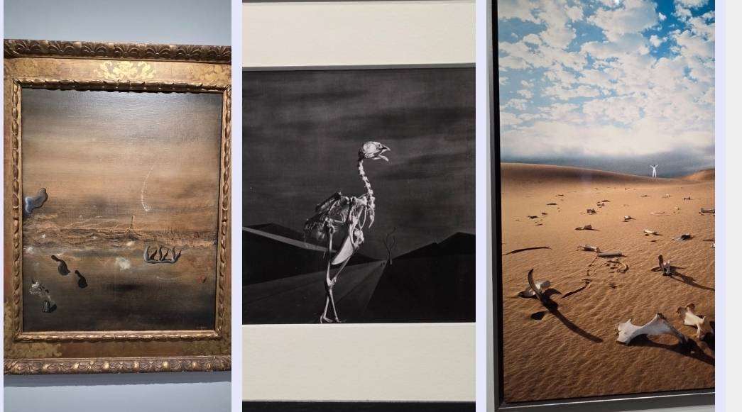 Obras surrealistas en Taipei, (Foto: Rti)