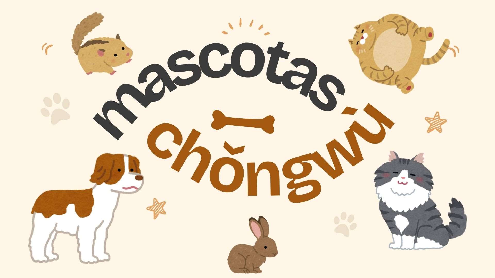 Chino Mandarin Basico - Mascotas