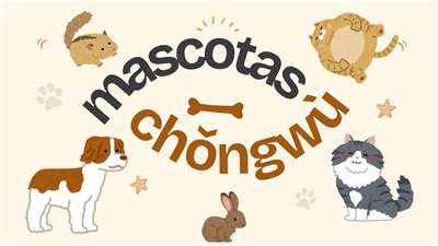 Chino Mandarin Basico - Mascotas