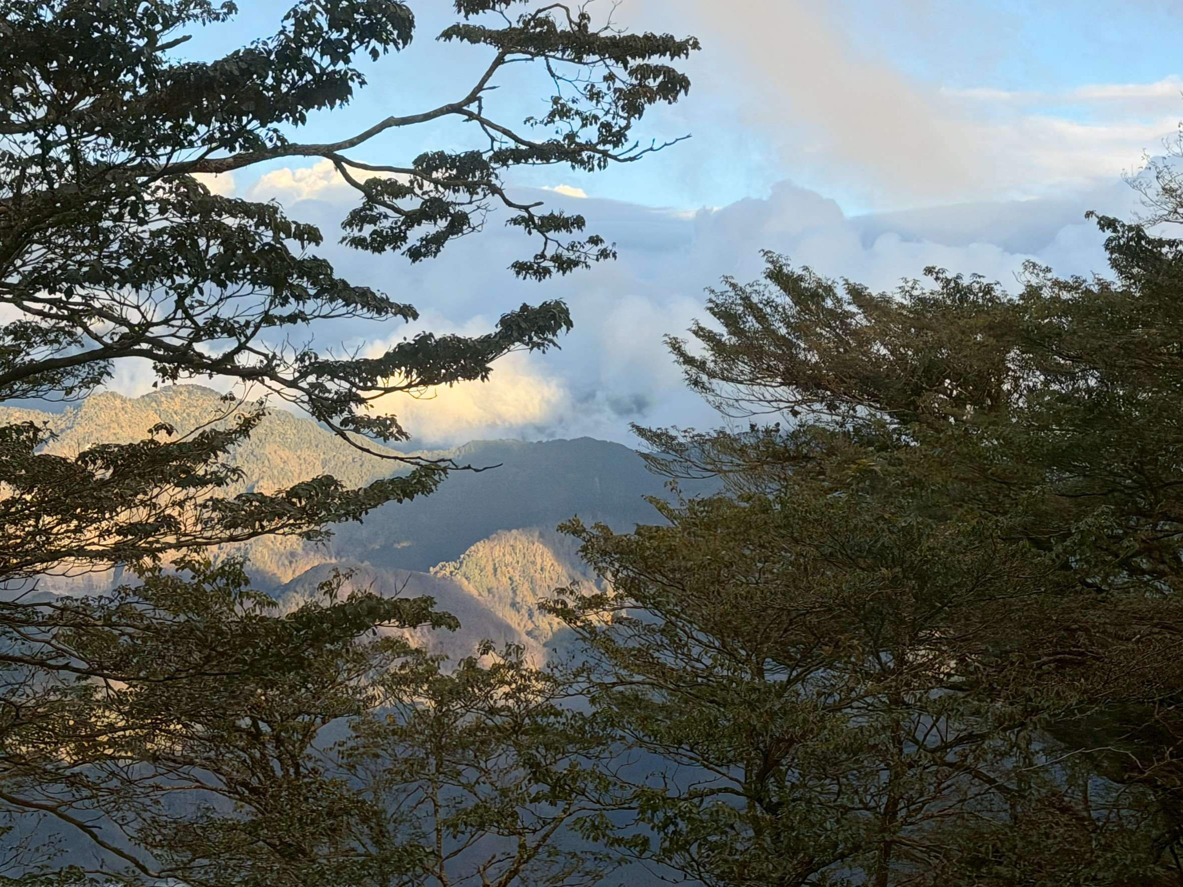 Vista de la zona montañosa de Alishan. (Foto: Rti)