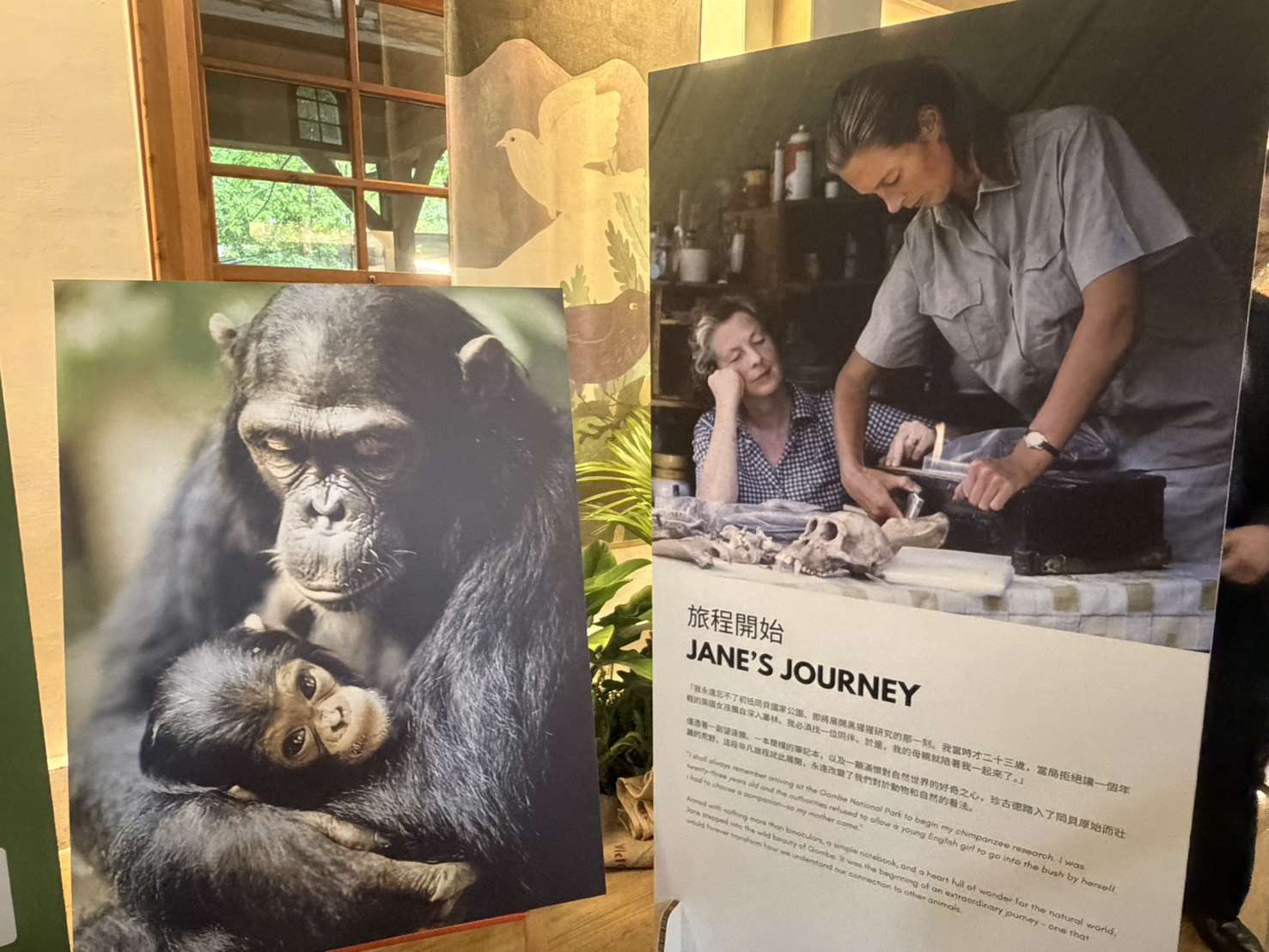 Una vida al cuidado de la vida. (Foto: Rti)