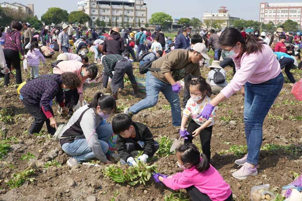 Fête de la pomme de terre à Yunlin, le 22 février 2025 (photo CNA)