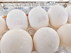 A Taïwan, vérifiez le code sur vos oeufs pour vous assurer de ne pas avoir acheté des oeufs contaminés (photo CNA)