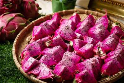 Des fruits de dragon de couleurs rouge et blanche à la fois développés à Hualien (Photo CNA)
