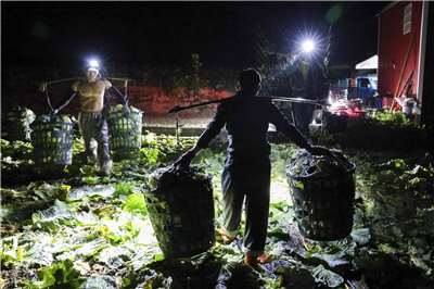 Le photojournaliste taïwanais Huang Tzu-ming (黃子明) a récemment remporté le prix du meilleur reportage photographique pour son œuvre « Lucioles affairées dans les champs », récompensant son engagement de longue date sur la question des travailleurs migrants disparus. (source: aimable crédit de Huang Tzu-ming)