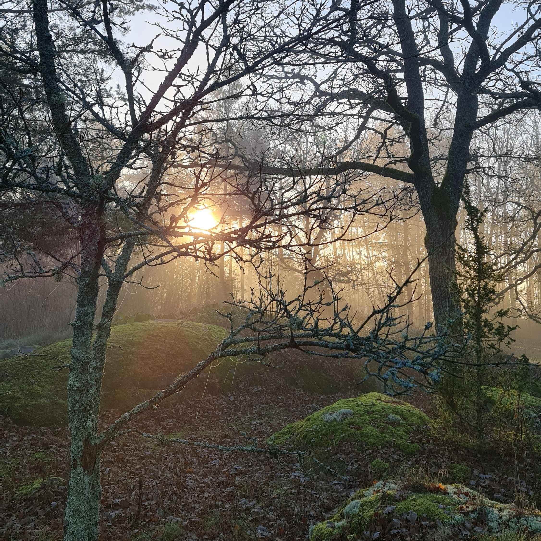 Culture.TW sur Rti/Taïwan