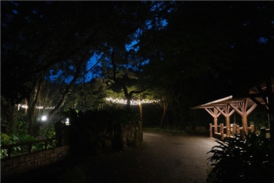Le zoo de Taipei lance ses nocturnes estivales (photo fournie par le zoo)