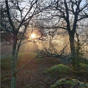 Paysage finlandais, où Barbora trouve son inspiration musicale (photo : Barbora Xu, aimable crédit)