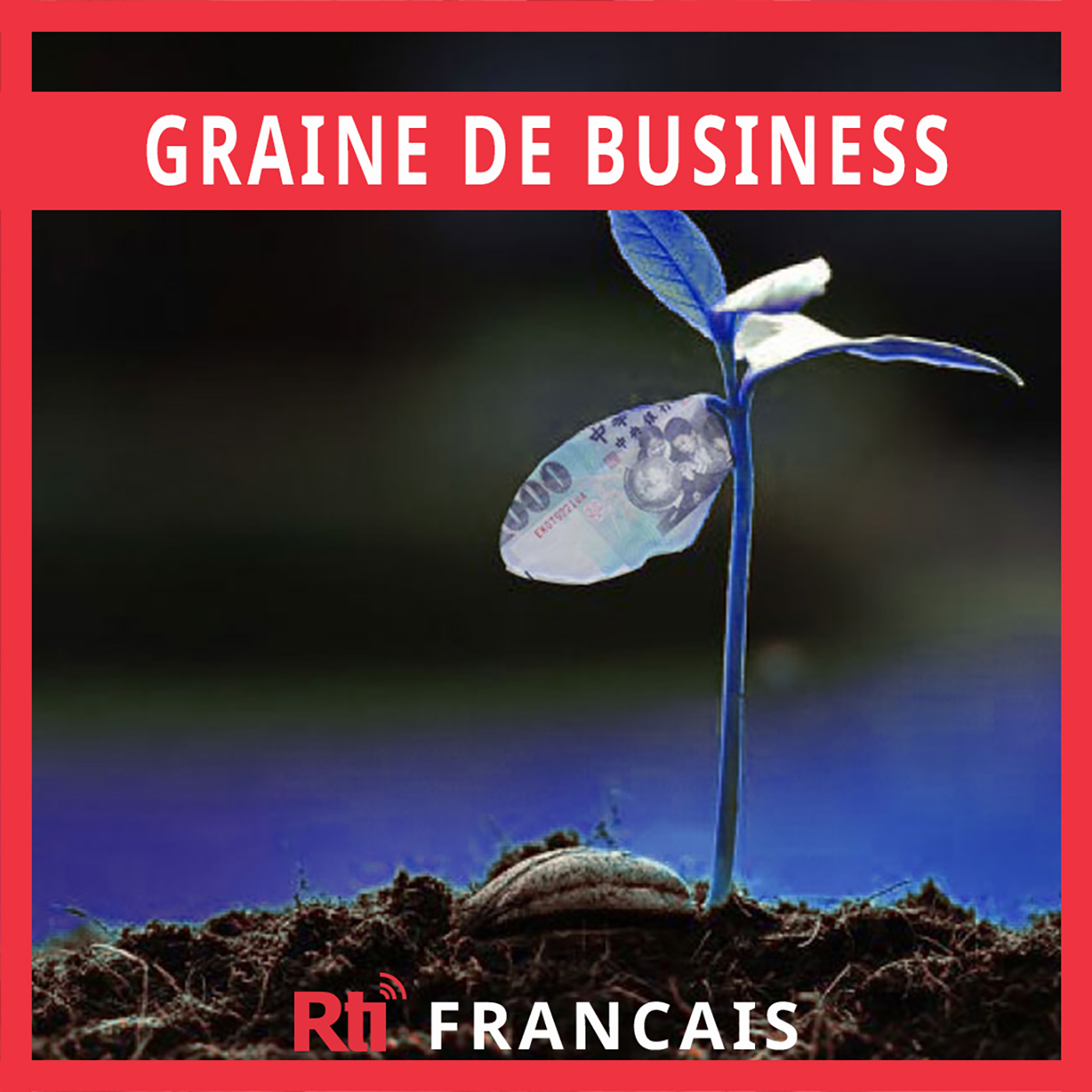Graine de business